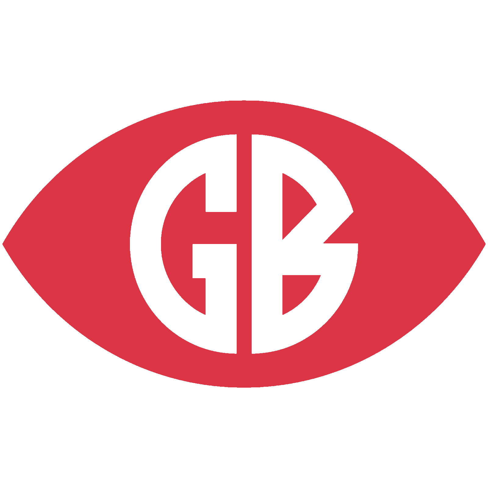 GBVision